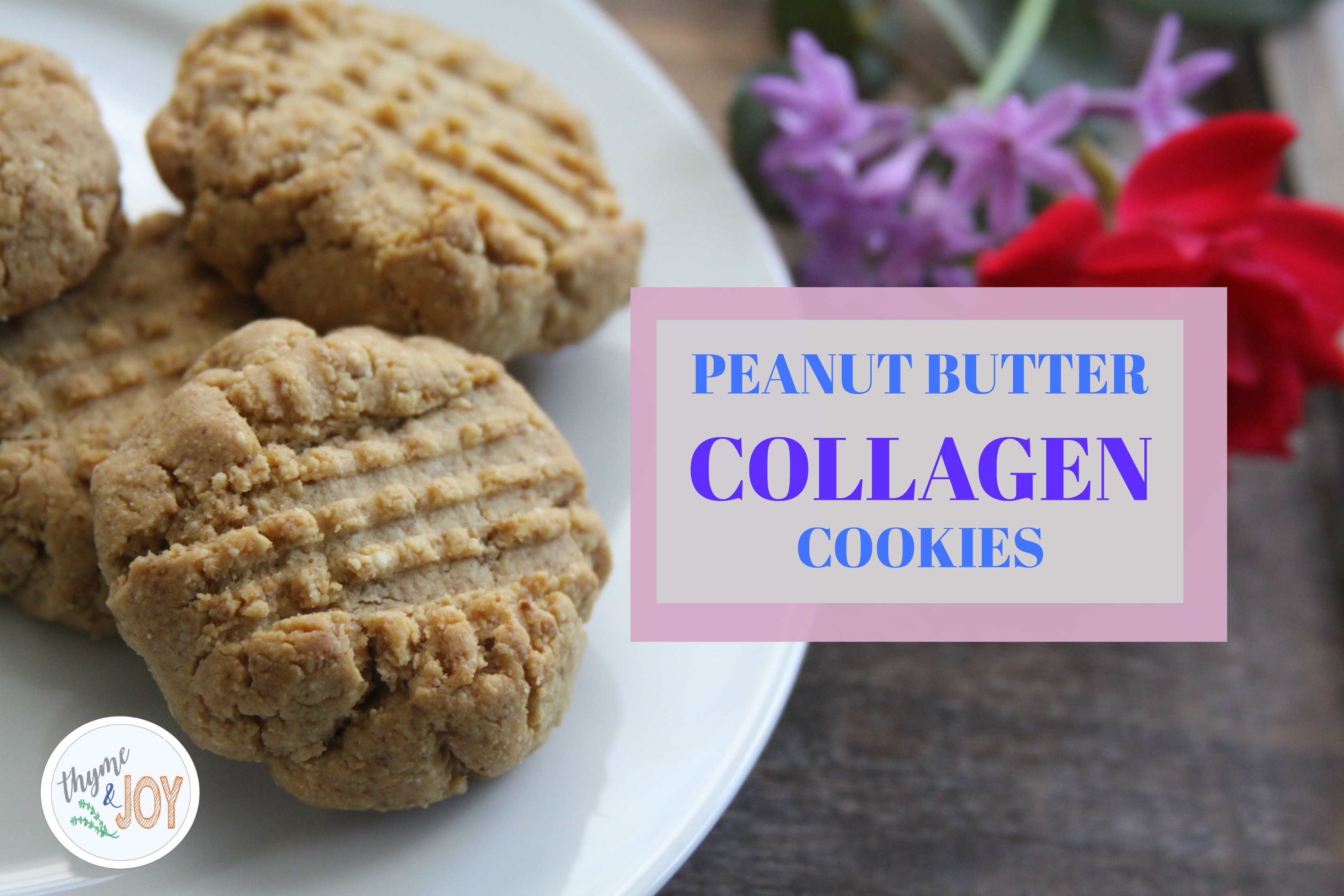 Peanut Butter Collagen Cookies 5 Ingredients Thyme & JOY