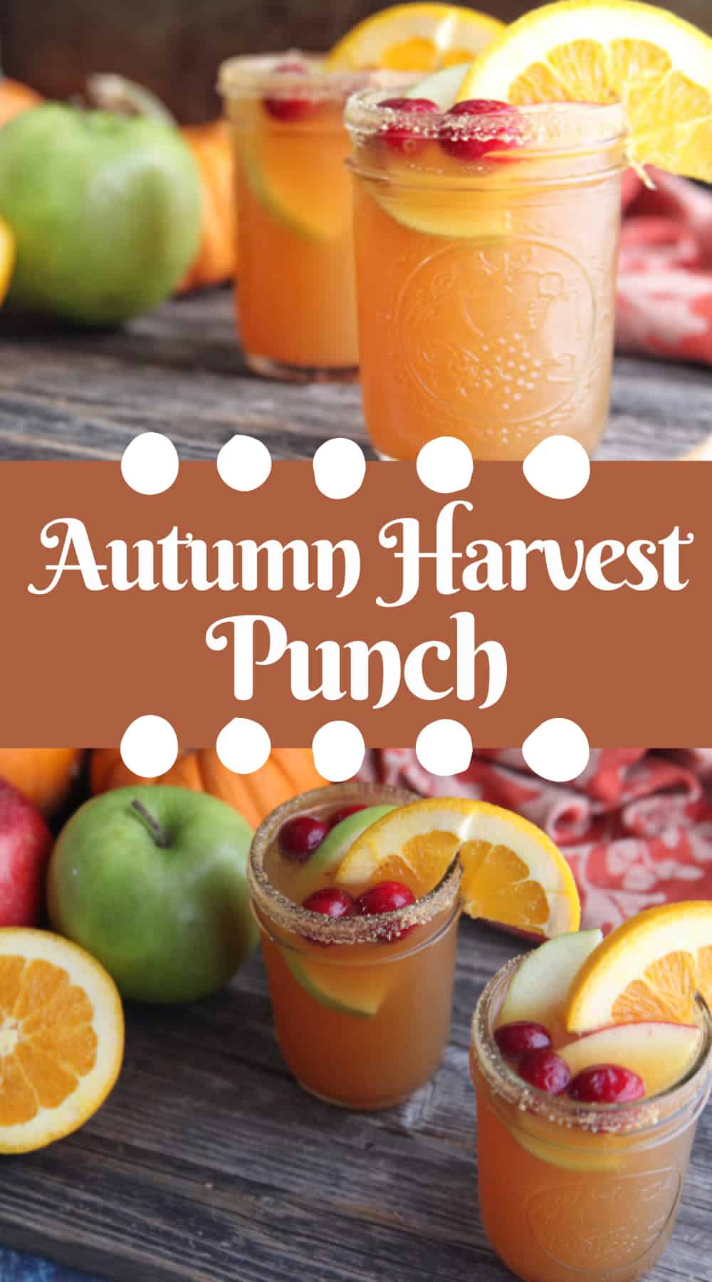 Thanksgiving Punch Recipe | Holiday Cocktail or Mocktail