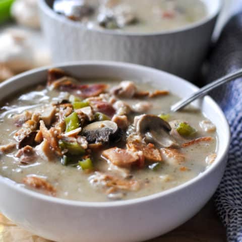 https://thymeandjoy.com/wp-content/uploads/2018/12/Slow-Cooker-Chicken-Bacon-Soup-9-480x480.jpg