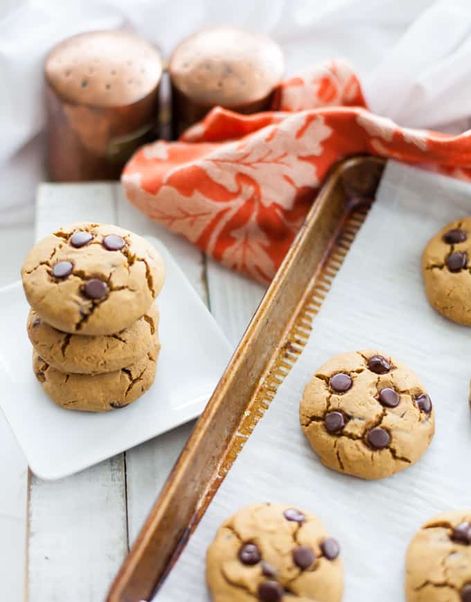 gluten free pumpkin chocolate chip cookies