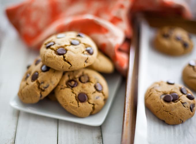 Gluten Free Pumpkin Chocolate Chip Cookies