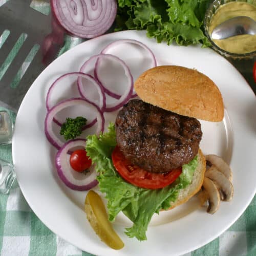 elk burger on a plate with toppings