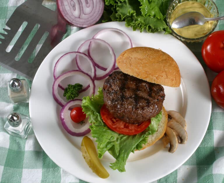 Air Fryer Elk Burgers